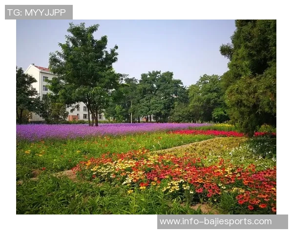 足球小子松仁的成长之路与梦想追逐的青春故事 足球小子松仁的成长之路与梦想追逐的青春故事